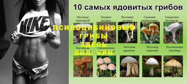 MDMA Premium VHQ Верхний Тагил