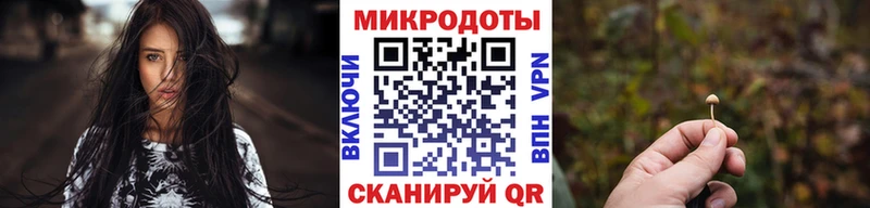 Галлюциногенные грибы мицелий  купить наркоту  Владимир 